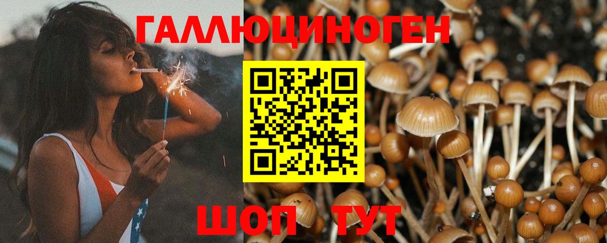 Галлюциногенные грибы мухоморы Волоколамск